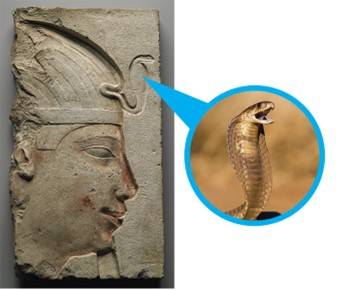 1747944014492.png