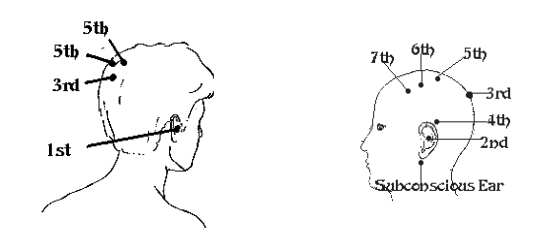 1756653079803.png