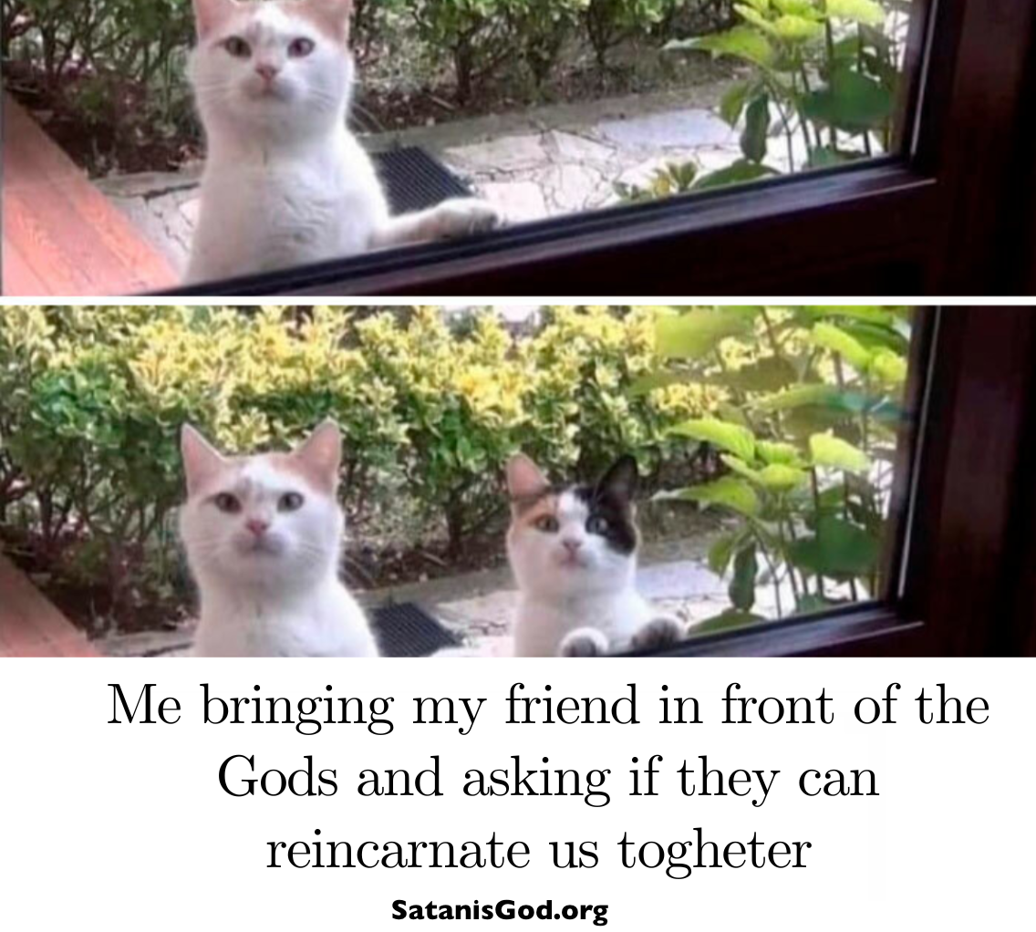 18.png