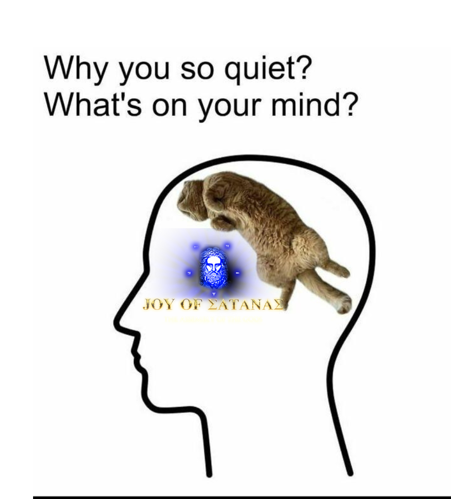 Cat-1 copy.png