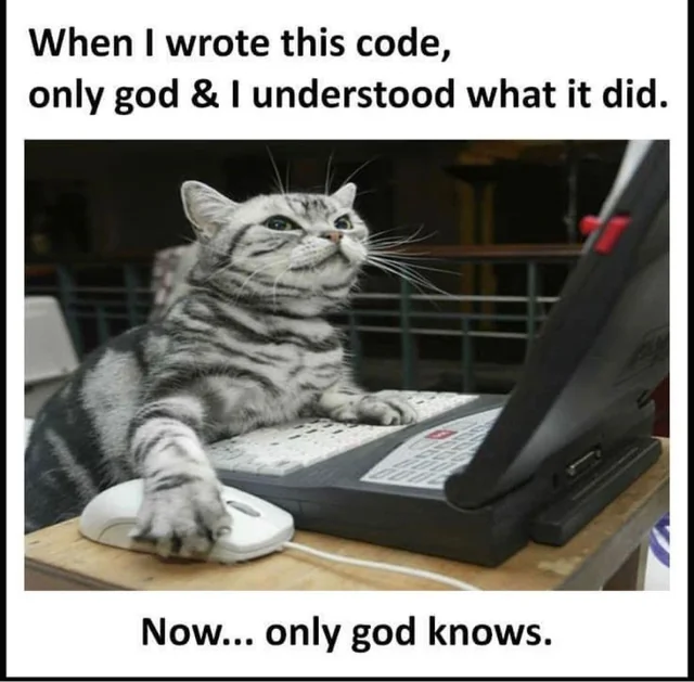 catcoding.png