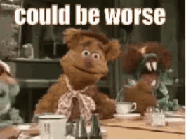 could-be-worse-worse.gif
