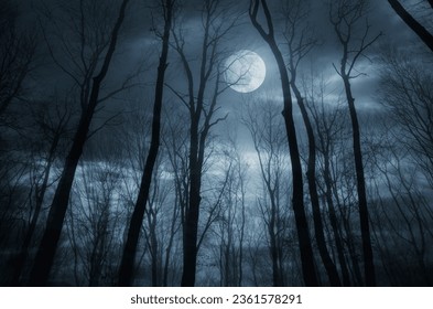 title-night-woods-under-full-260nw-2361578291(0).jpg