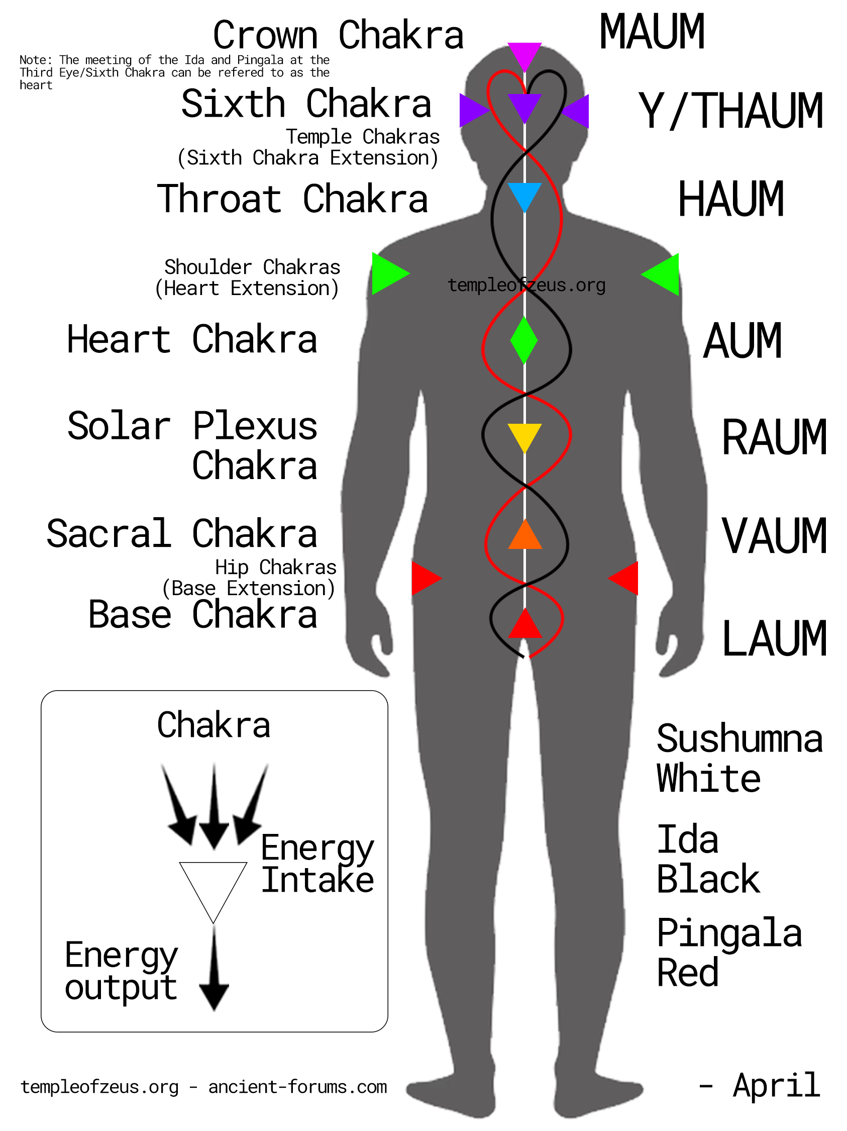 ToZ Chakras and Main Nadi Chart.png