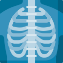 x-ray.png