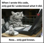 catcoding.png