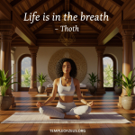 2c65308f-8bde-49d8-bd42-24512f200114.png