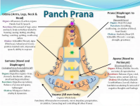 Screenshot 2025-10-18 212456.png