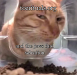 c1.png
