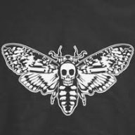 Mothskull