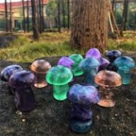 Crystallized Mushroom