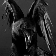 freakinightmare