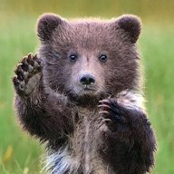 BearPaws
