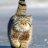 Manul