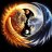 Yin-Yang